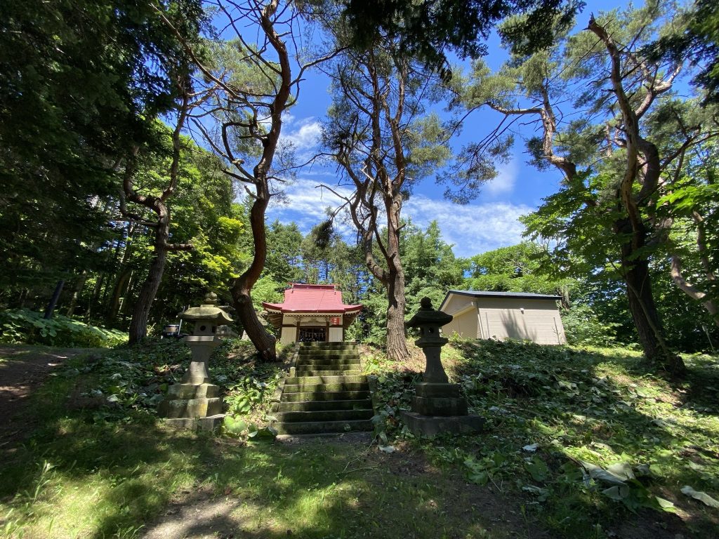 洞爺湖月浦八幡の5本アカマツ